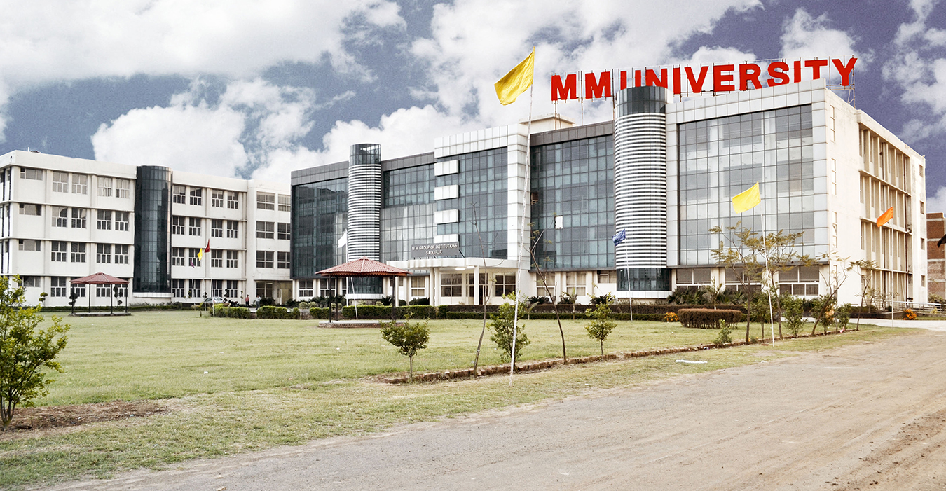 mm university